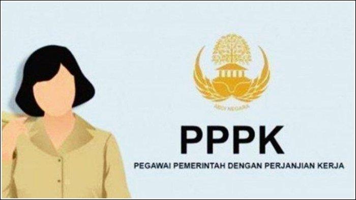 Pemalang Menanti: Pelantikan 3.000 PPPK Paruh Waktu Masih Jadi Tanda Tanya